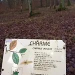 Σπίτι διακοπών Maison Spacieuse Et Accueillante A + Jardin Cirey-sur-Vezouze