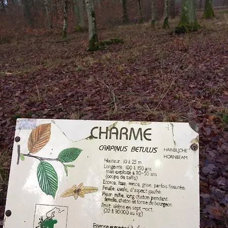 Vakantiehuis Maison Spacieuse Et Accueillante A + Jardin Cirey-sur-Vezouze